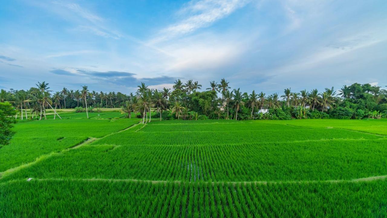 Maruan Sari Apartment Ubud  Bagian luar foto