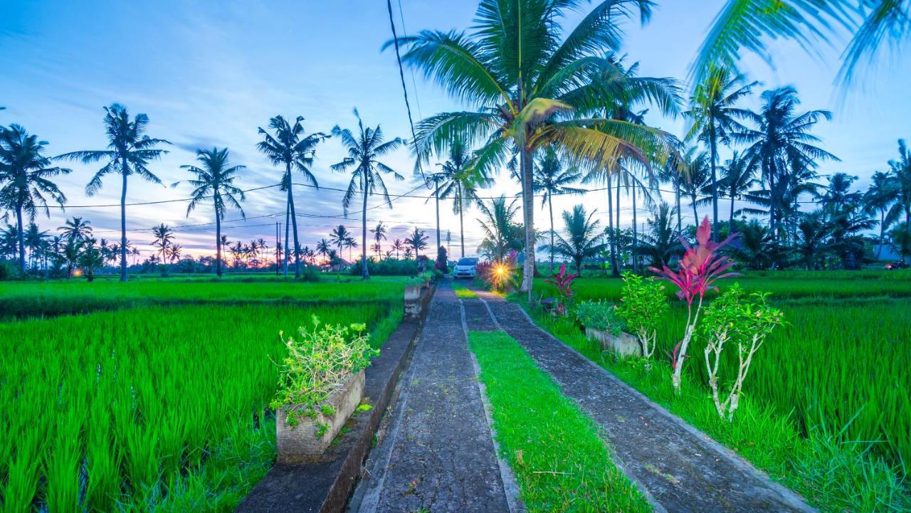 Maruan Sari Apartment Ubud  Bagian luar foto